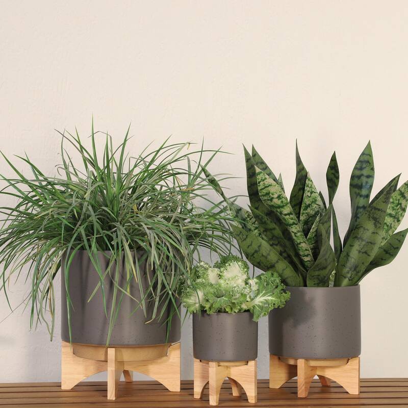 8" Ceramic Planter with Wooden Stand, Matte Grey