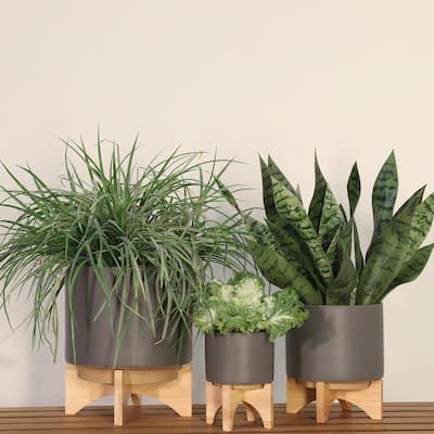 8" Ceramic Planter with Wooden Stand, Matte Grey