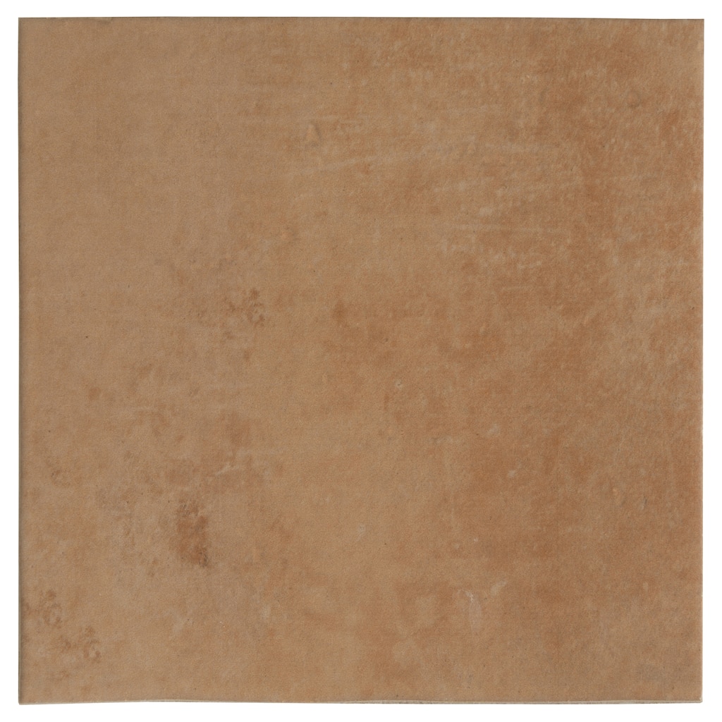 Apollo tile 6" x 6" Terralis Matte Terracotta Porcelain Tile (4.66 sq ft/case) - 19 Pack
