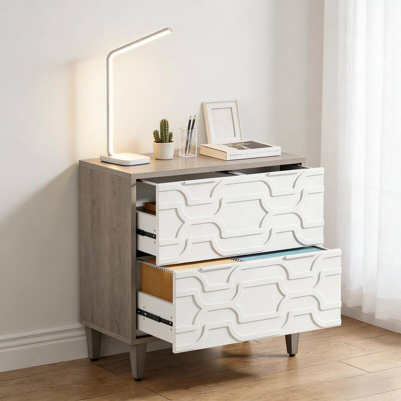 Rossetta 2-Drawer Stylish Design Versatile Storage File Cabinet with Ample Space