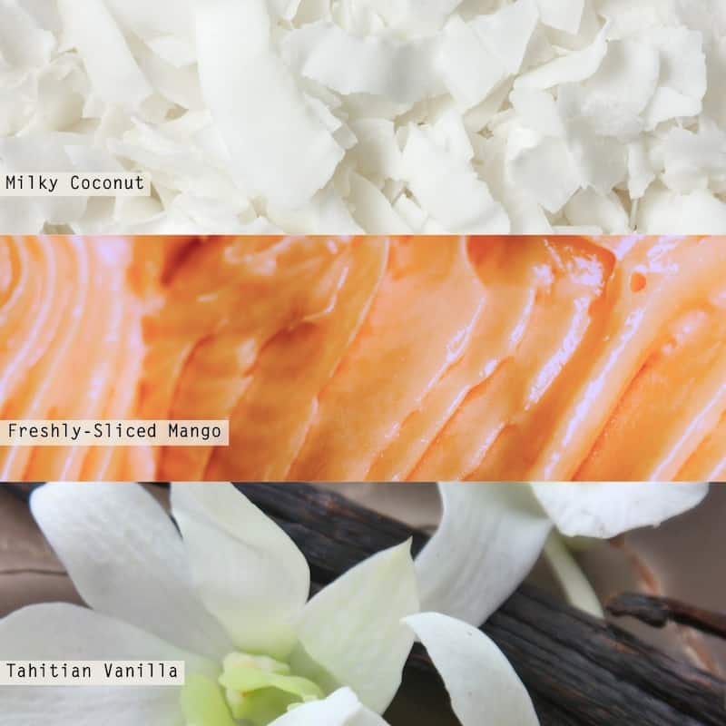 Beautifully Done Essentials Coconut Milk Mango Demi Vanity Tin Scented Candle