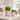 Decorative Ceramic Scalloped Planter - Set of 2, 7", 6",