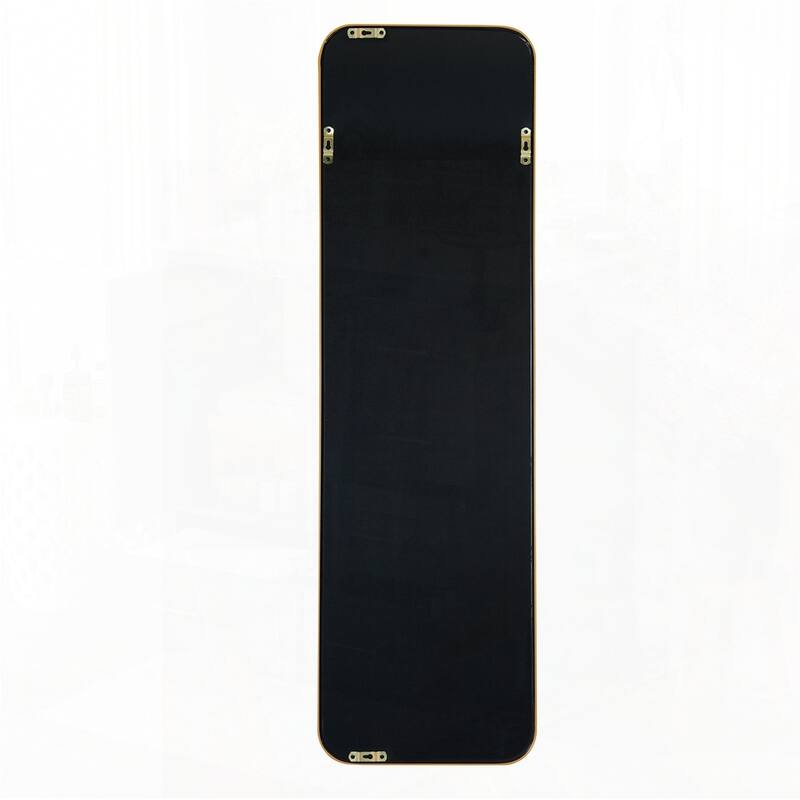 47 x 14IN Door mirror