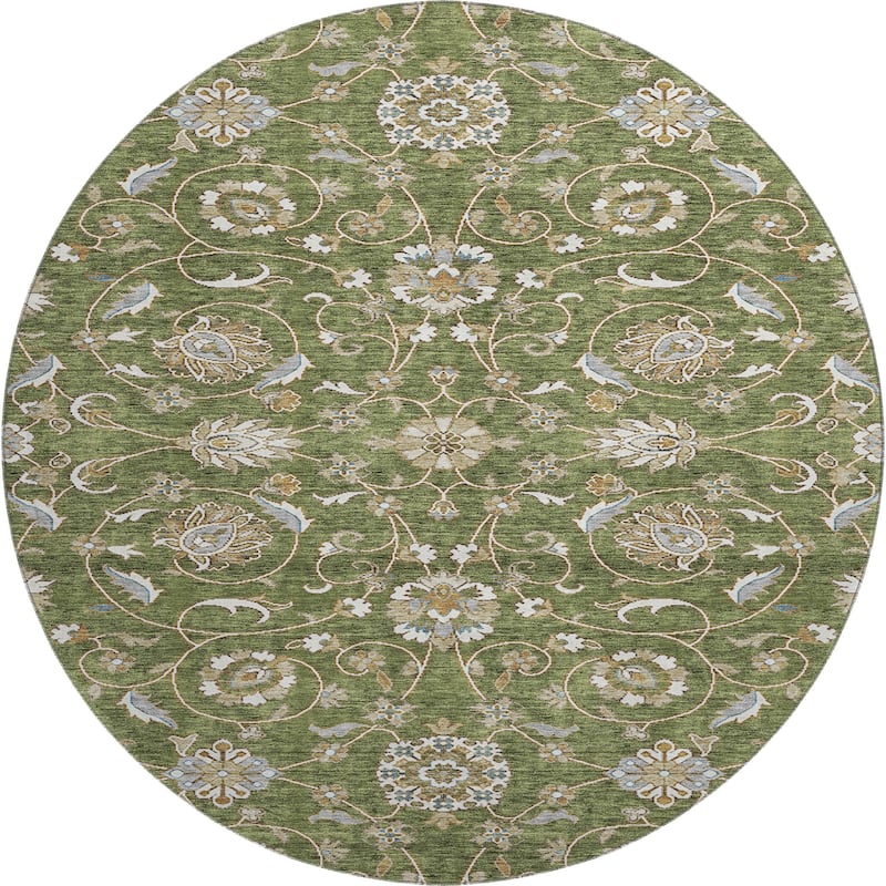 Premium Washable Super Soft Traditional Persian Mayfield Rug