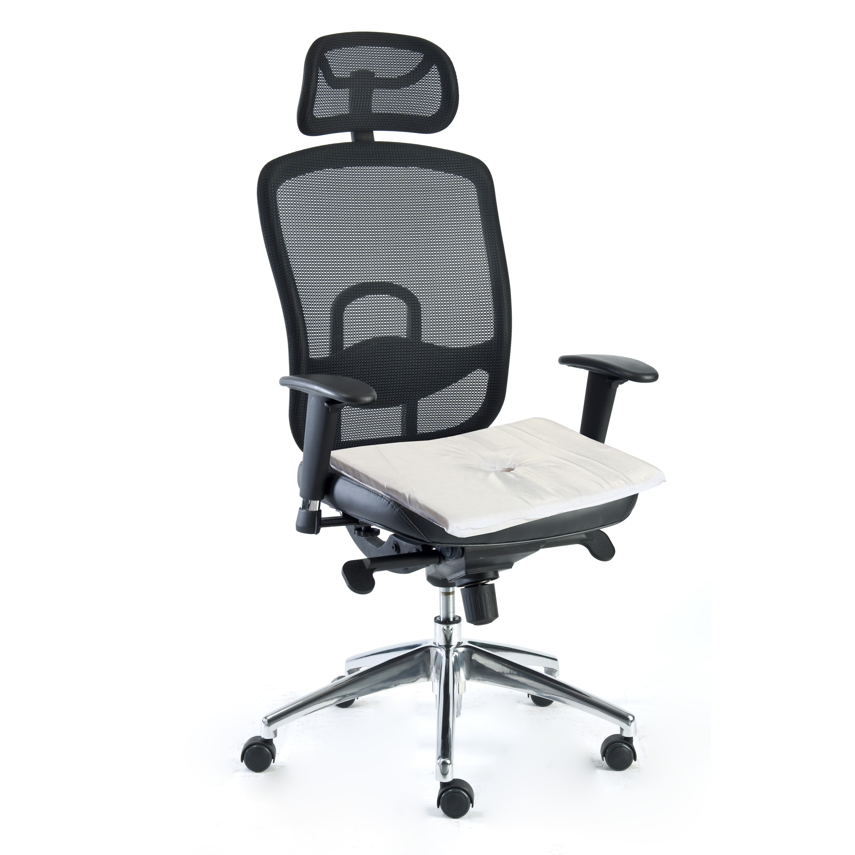 Bed bath and beyond orthopedic seat cushion 2025