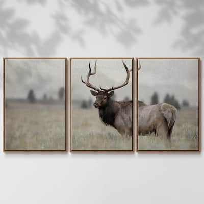 Grand Elk - Multi Piece Framed Canvas