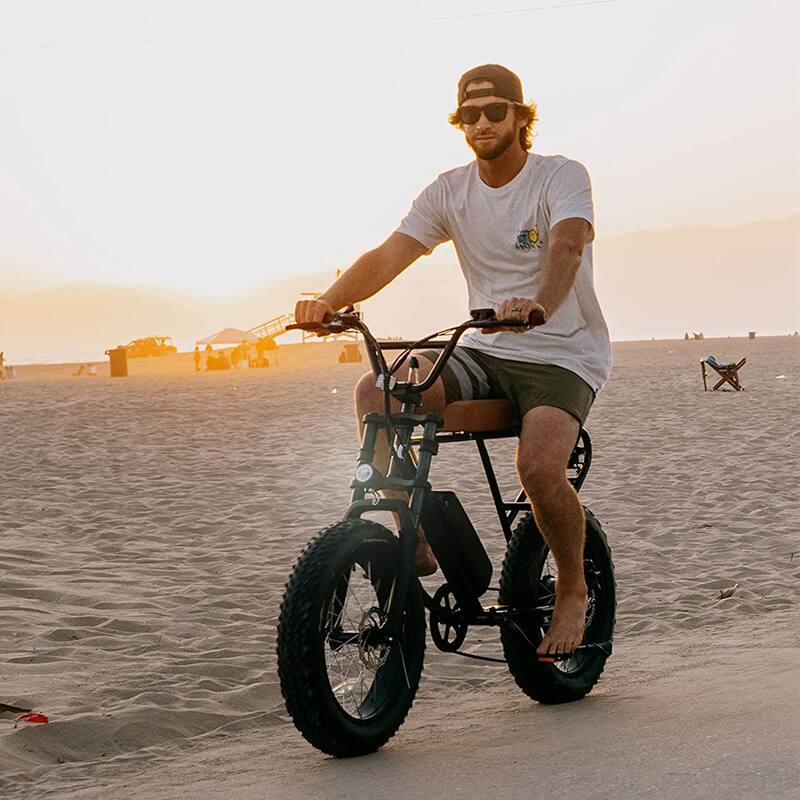 4" Wide Tires Shimano 6-Speed E-Bike with Removable Battery