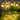 Mini Solar Lights Outdoor Waterproof IP65 for Pathway