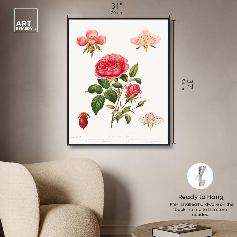 Rose and its parts (1872) Canvas by Art Remedy