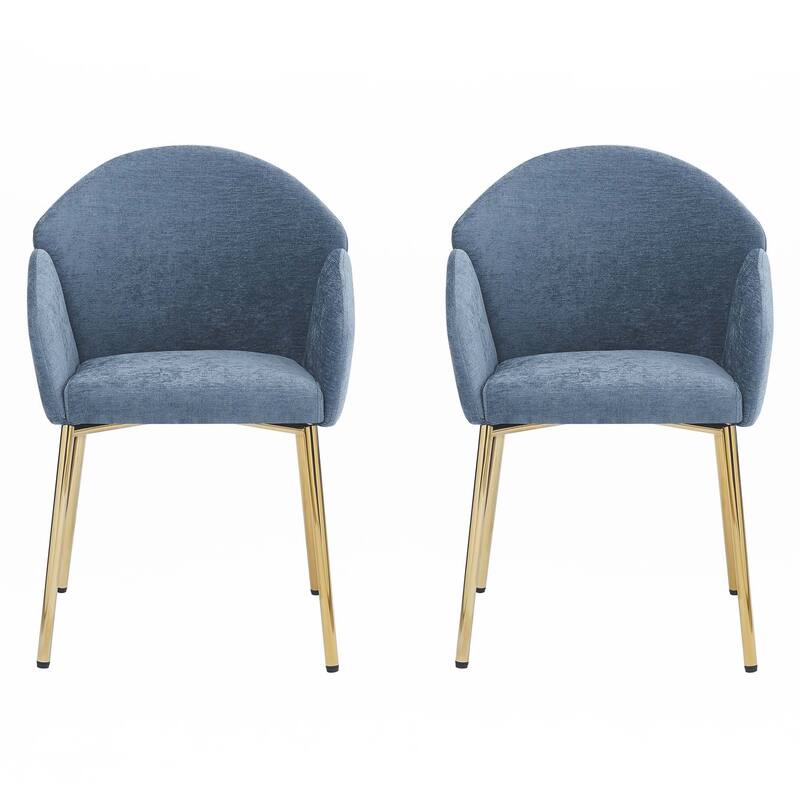 Dining Chair (Set of 2)