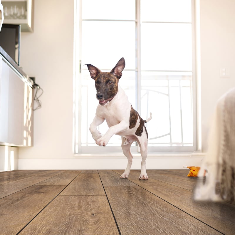 Ackland AKVHR7X48-1020-CA Springwood 7" x 48" - 10mm 20mil -