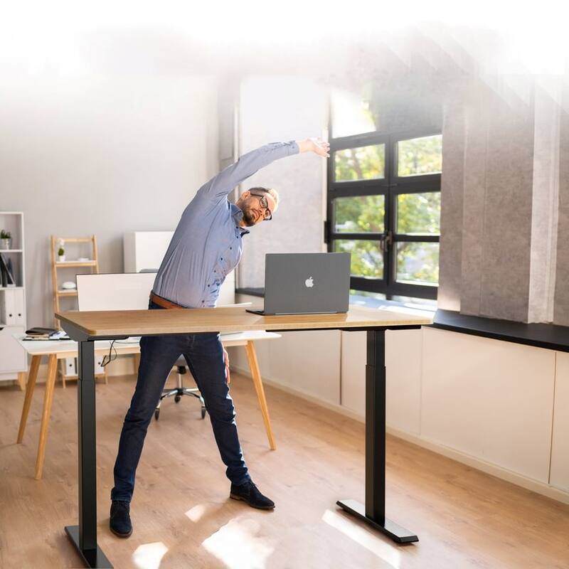 Rise Up Electric Standing Desk Dual Motor 48x30 solid bamboo desktop