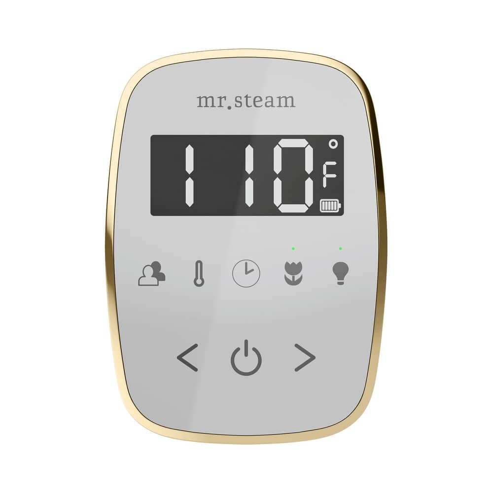 Mr Steam TF Tempoflex Steam Shower Control and Steamhead