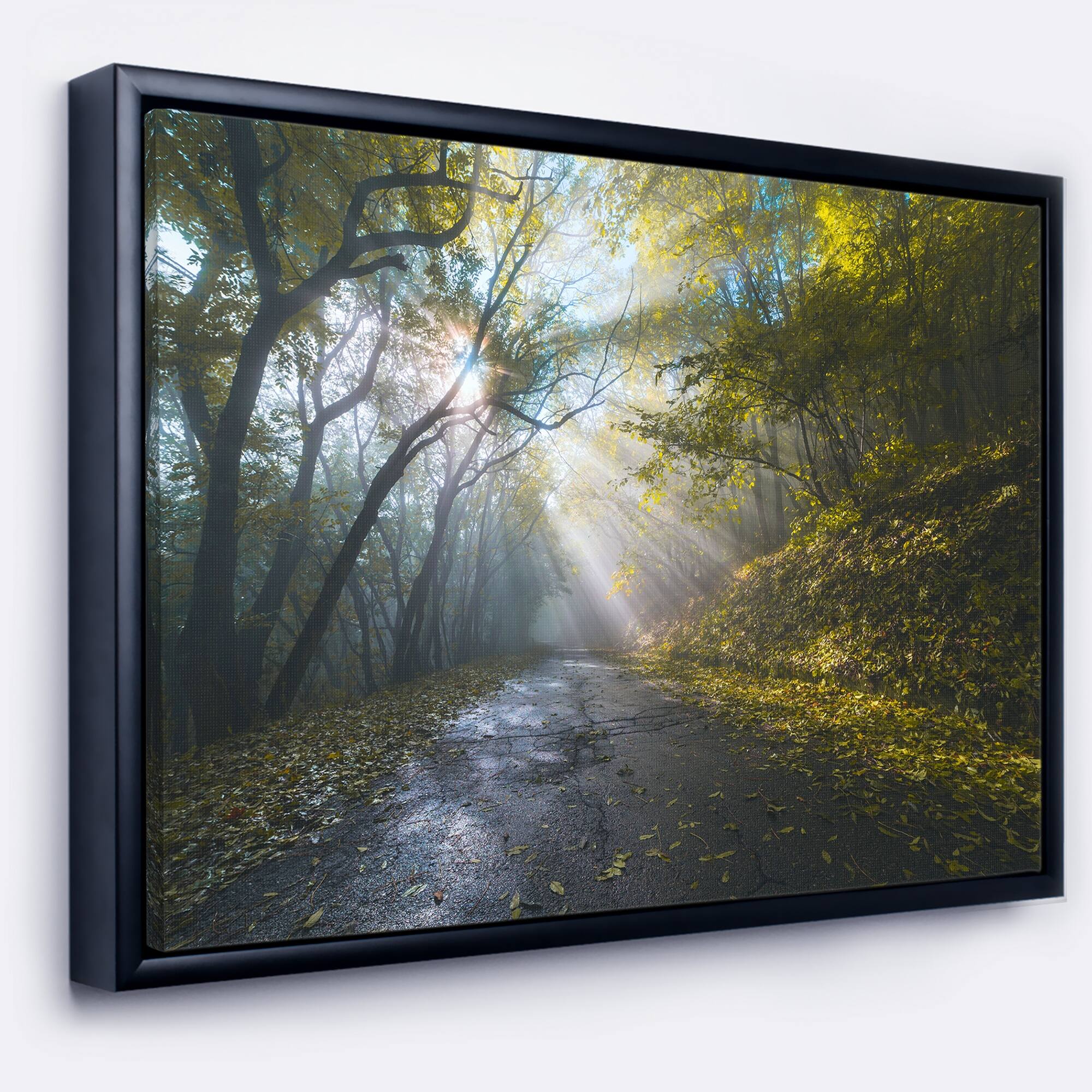 Designart "Road in Autumn Forest at Sunset" Large Landscape Framed