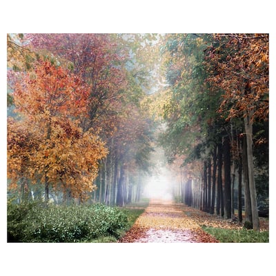 Breathe by Irene Weisz Canvas Art Print