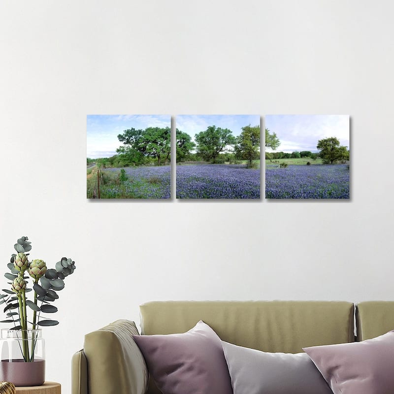 iCanvas "Field Of Bluebonnets, Hill County, Texas, USA" by Panoramic Images 3-Piece Canvas Wall Art Set - 16x48x1.5