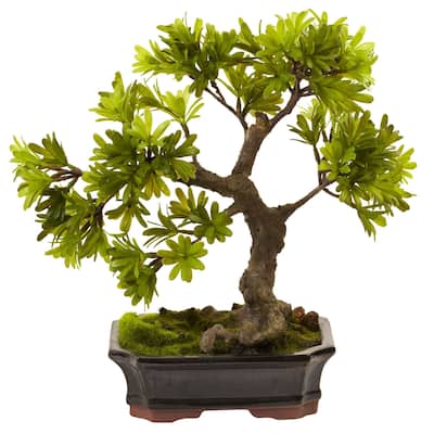 Decorative Podocarpus Plant with Moss Planter - Indoor Silk Tree Accent - 6x8x2.75 Inch - 1.17ft.
