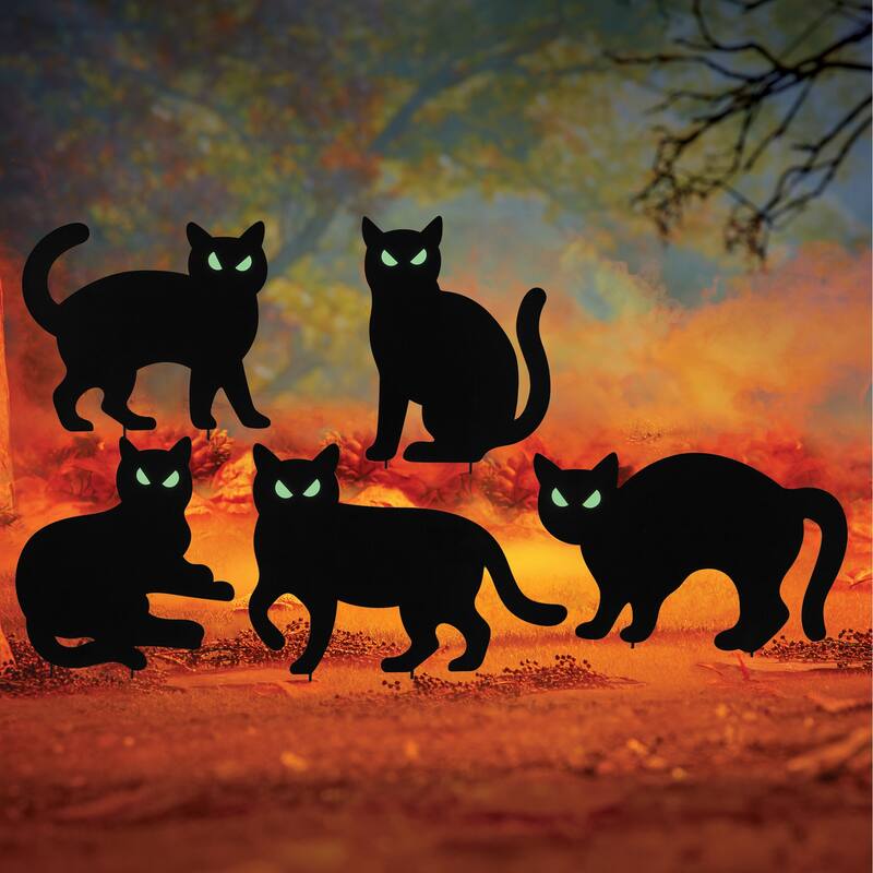 Black Cat Glow-in-the-Dark Eyes Garden Stakes - Set of 5 - Black