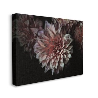 Stupell Aged Flower Curved Petals Pink Black Photograph Canvas Wall Art ...