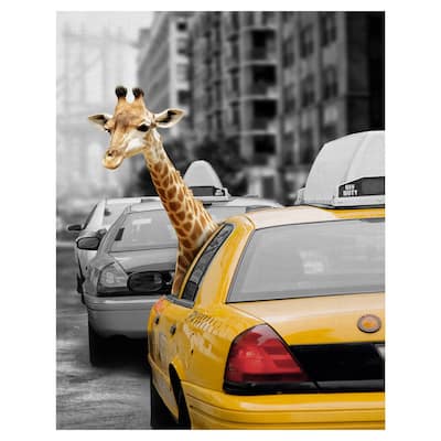 Urban Jungle II by Belle Maison Canvas Art Print