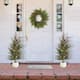 Option 2PK Greenery Trees & Wreath