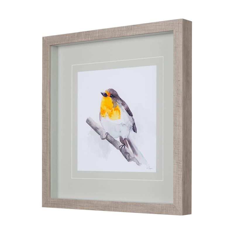 Robin I Framed Art Print