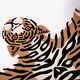 preview thumbnail 7 of 10, Rizzy Home Tiger Print Cotton Fitted Cribsheet - 28" X 52" Black