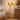 Rustic Natural Wood Pumpkin Floor Lamp with Warm Glow
