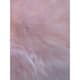 Option Pink