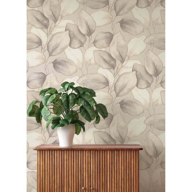 A-Street Prints Evanthe Grey Vine Wallpaper