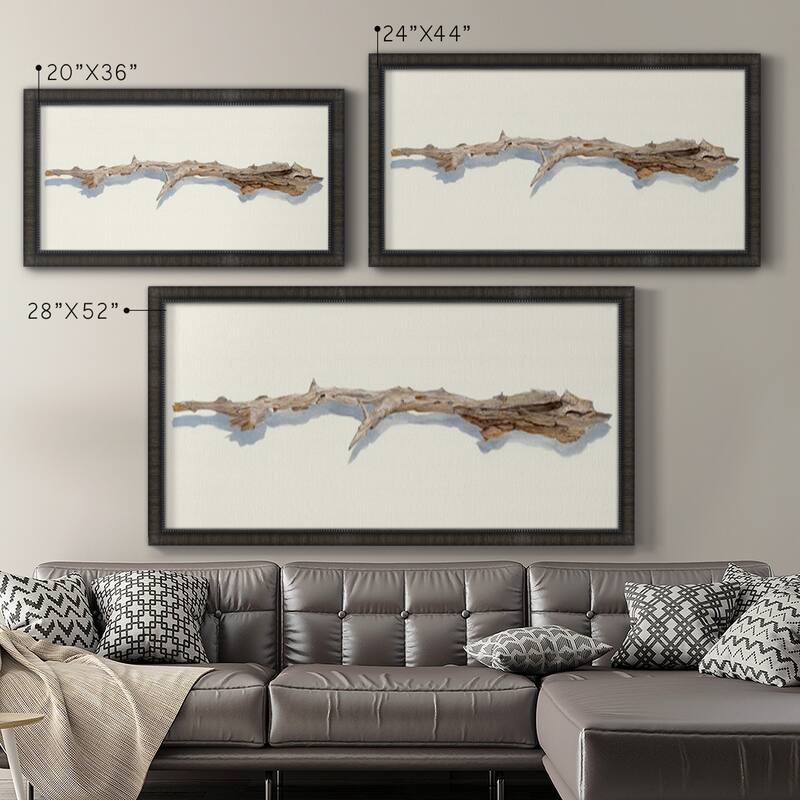 Driftwood Study I Premium Framed Canvas- Ready to Hang