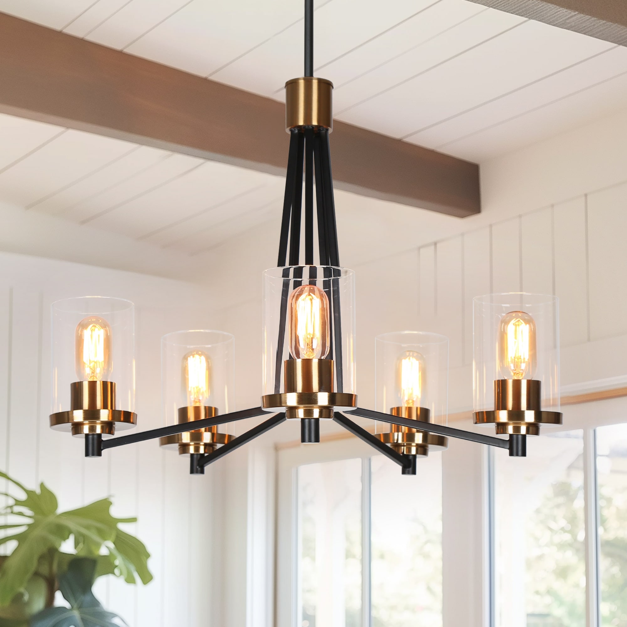 Modern Transitional 5-Light Black Gold Chandelier Dining Room Farmhouse Pendant with Cylinder Glass - 25 " D