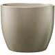 Option Gray Beige Metallic