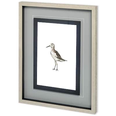 Custom Sea Bird VI Framed Art Print