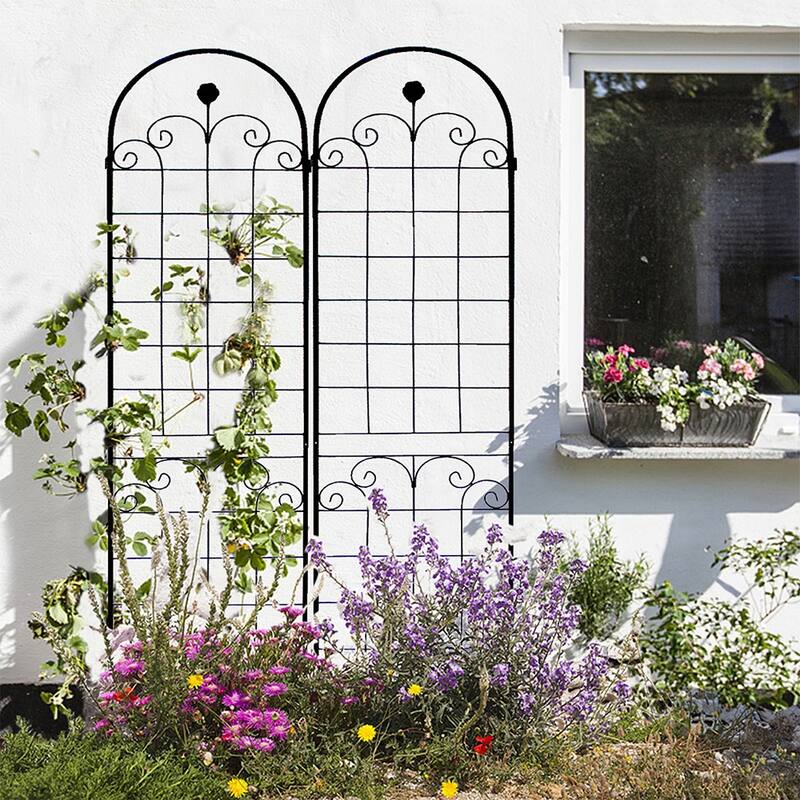 Outdoor Metal Rustproof Garden Arched Trellis for Climbing Plants