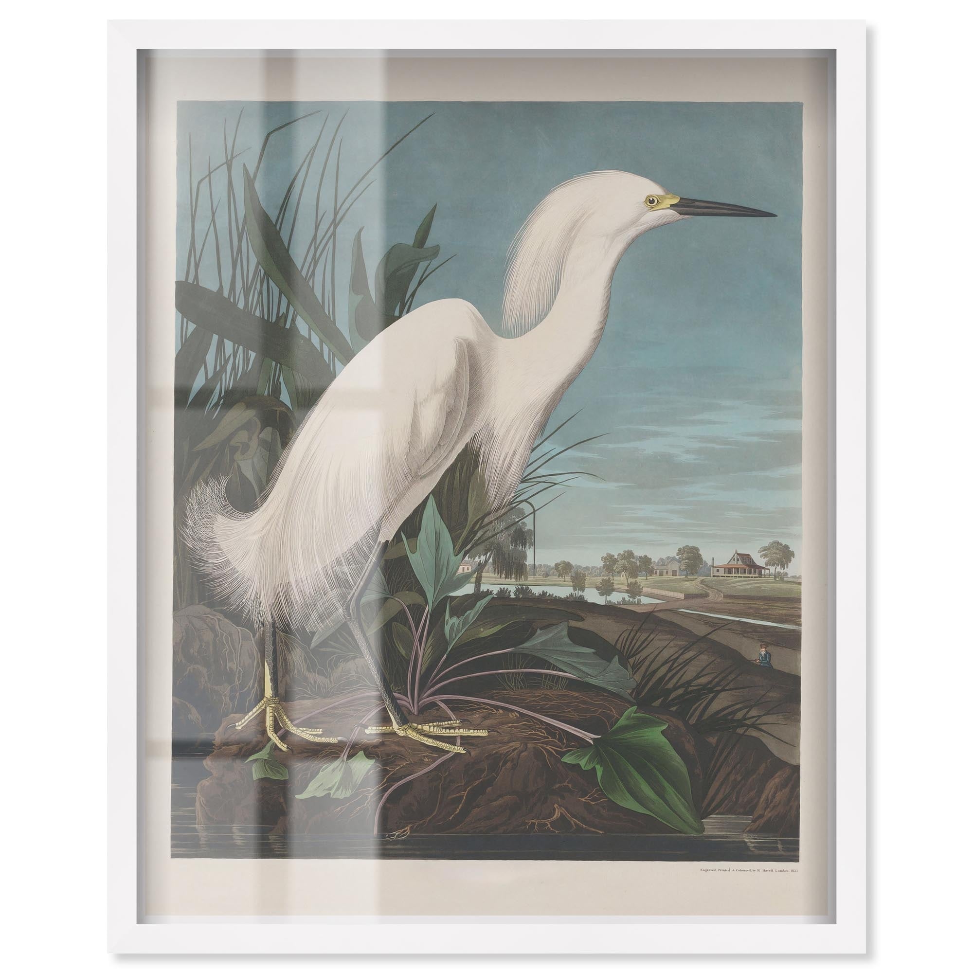 Vision of Grace Vintage Art Shadowbox Print by Art Remedy