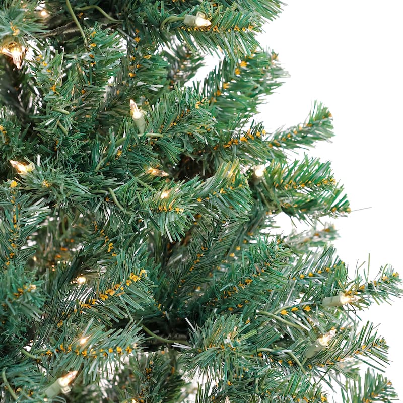 National Tree Company 6 ft. Acacia Christmas Tree with Clear Lights - 6 Foot