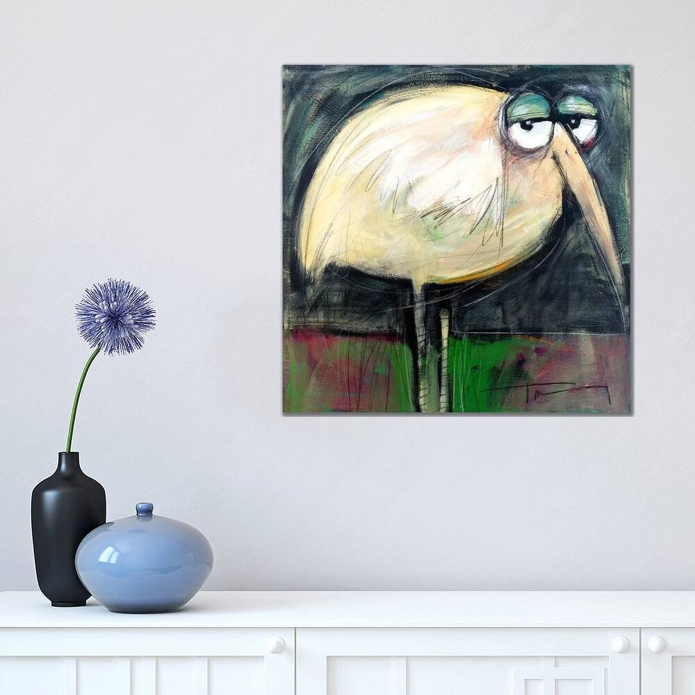 iCanvas "Rotund Bird" by Tim Nyberg Canvas Print