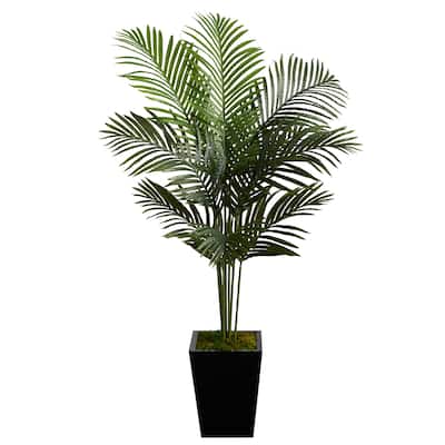 5' Paradise Palm Artificial Tree in Black Metal Planter - 15"