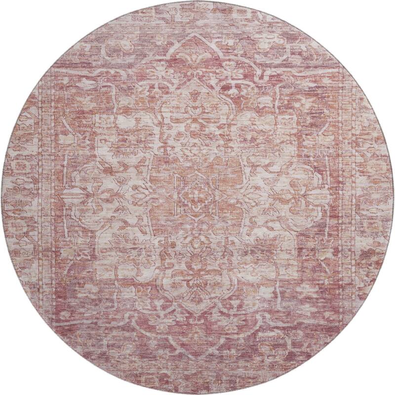 Premium Washable Super Soft Vintage Traditional Mayfield Rug