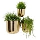 preview thumbnail 14 of 29, Gold, Black, Silver or White Metal Indoor Outdoor Floating Wall Planter (Set of 3) - S/3 9", 7", 6"H