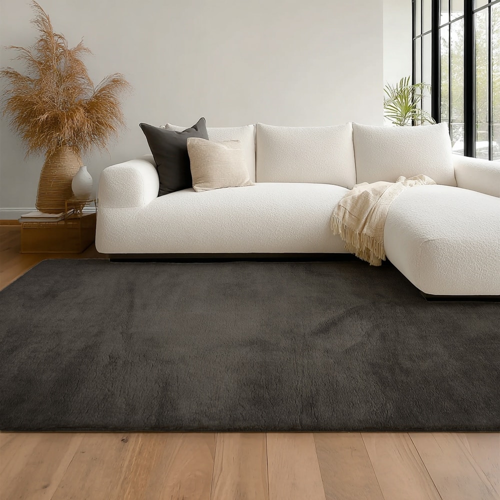 ECARPETGALLERY Argo Plush & Shags Machine Washable Area Rug