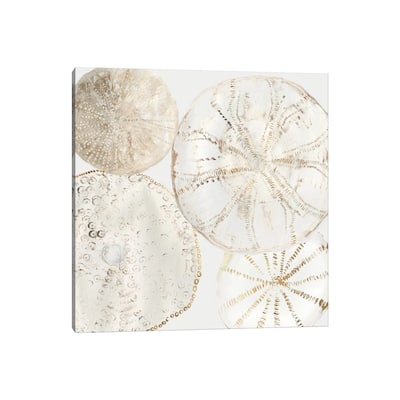 iCanvas "Sea Patterns II" by Aimee Wilson Canvas Print