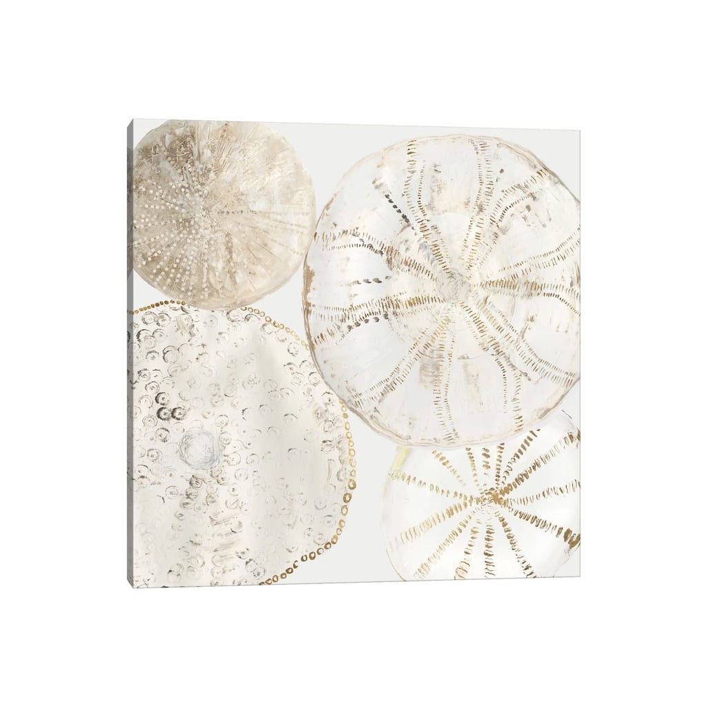 iCanvas "Sea Patterns II" by Aimee Wilson Canvas Print