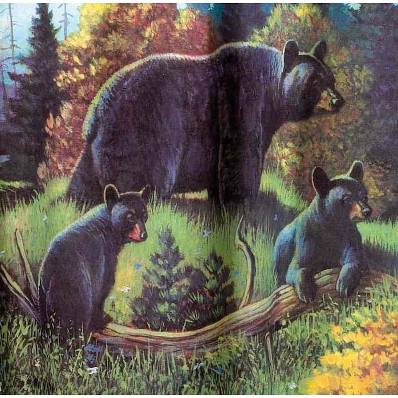 Avanti Linens Black Bear Lodge Shower Curtain