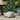 Irwington Outdoor Cast Stone Outdoor Turtle Garden Statue by Christopher Knight Home