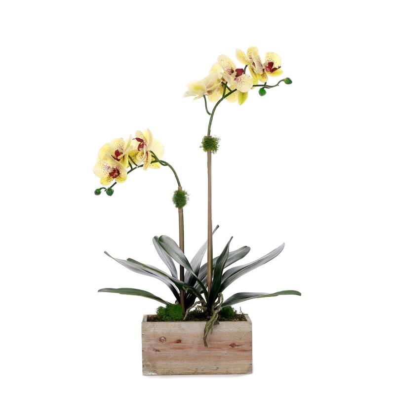 Yellow Real Touch Orchid Flower Arrangement in White Rectangular Pot