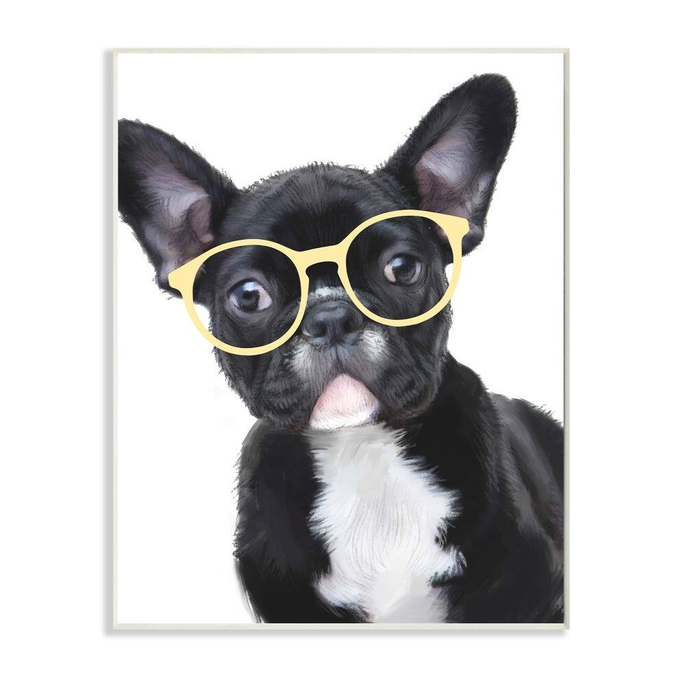 french bulldog glasses