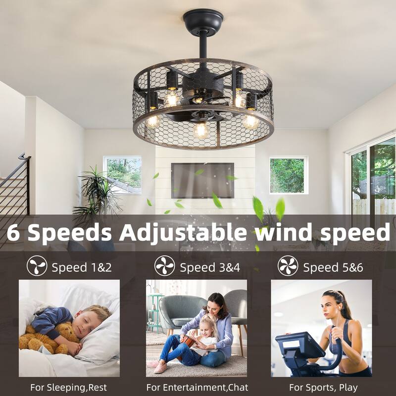 19.7In Classic Ceiling Fan with Light, Remote Control or APP(Bulbs included)