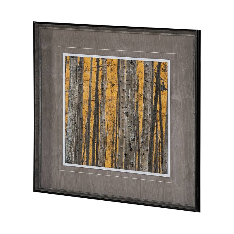 Aspen Trees 3 Framed Art Print